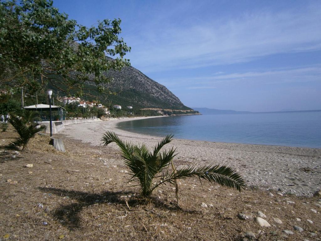 Petros Studios Πόρος Εξωτερικό φωτογραφία